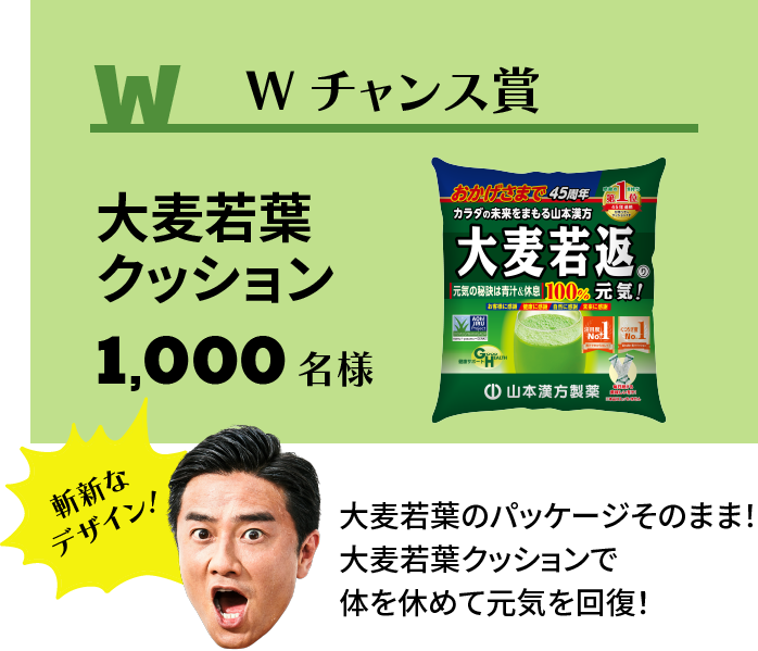 ダブルキャンペーン 大麦若葉クッション 1,000名様 大麦若葉のパッケージそのまま! 大麦若葉クッションで体を休めて元気を回復! ※画像はイメージです。実際の商品とはデザイン・仕様が一部異なる場合がございます