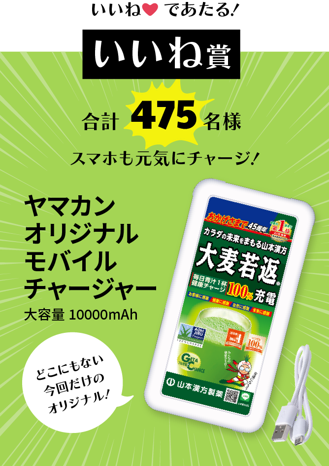 いいねであたる! いいね賞 合計475名様 スマホも元気にチャージ! ヤマカンオリジナルモバイルチャージャー大容量10000mAh どこにもない今回だけのオリジナル！ ※画像はイメージです。実際の商品とはデザイン・仕様が一部異なる場合がございます