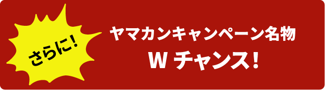 さらに! ヤマカンキャンペーン名物 Wチャンス!