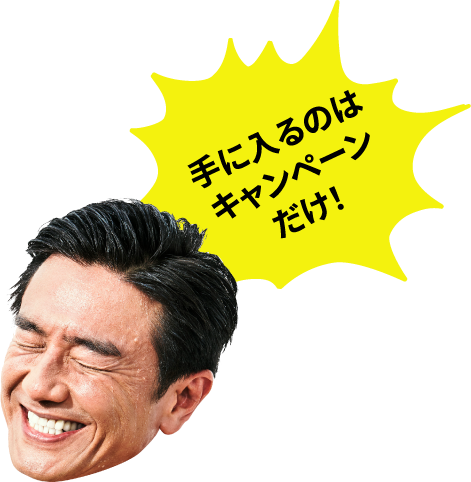 手に入るのはキャンペーンだけ!