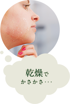 乾燥でかさかさ