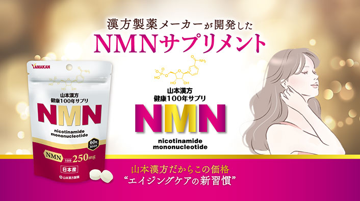 YAMAKAN山本漢方 NMN 250mg 賞味期限26.05 まとめ