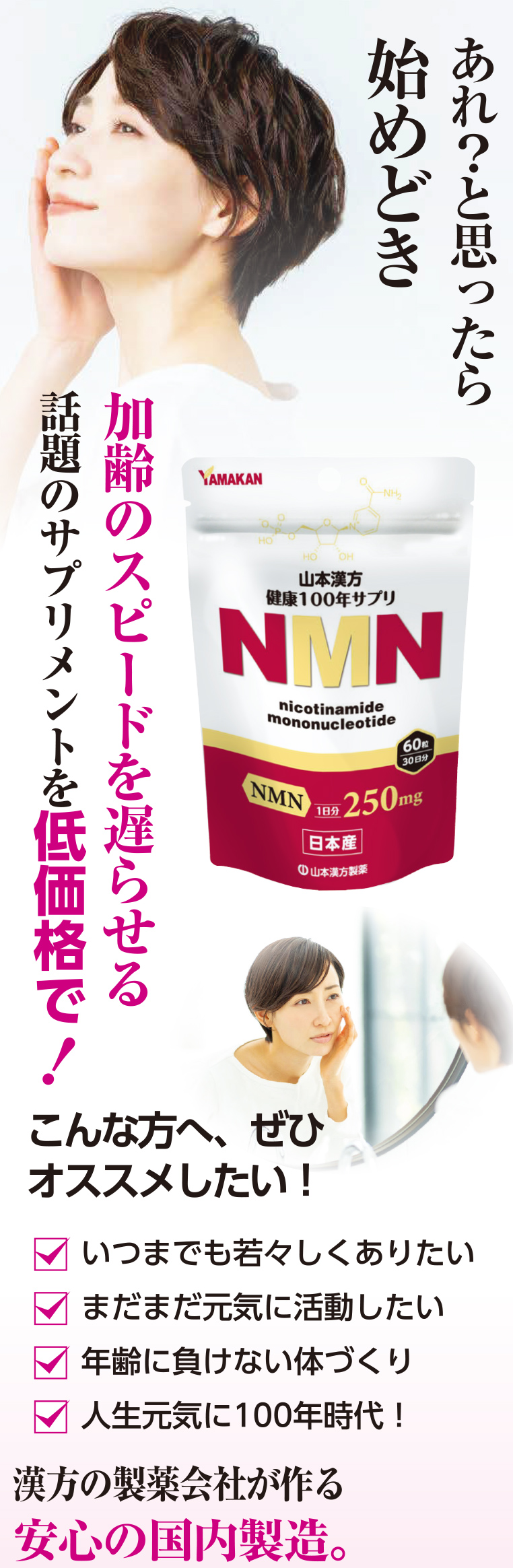 しゅうぶん専用ニューマン ファスナー付きポケットリーフ ＜A4＞ | 製品情報 | Maruman