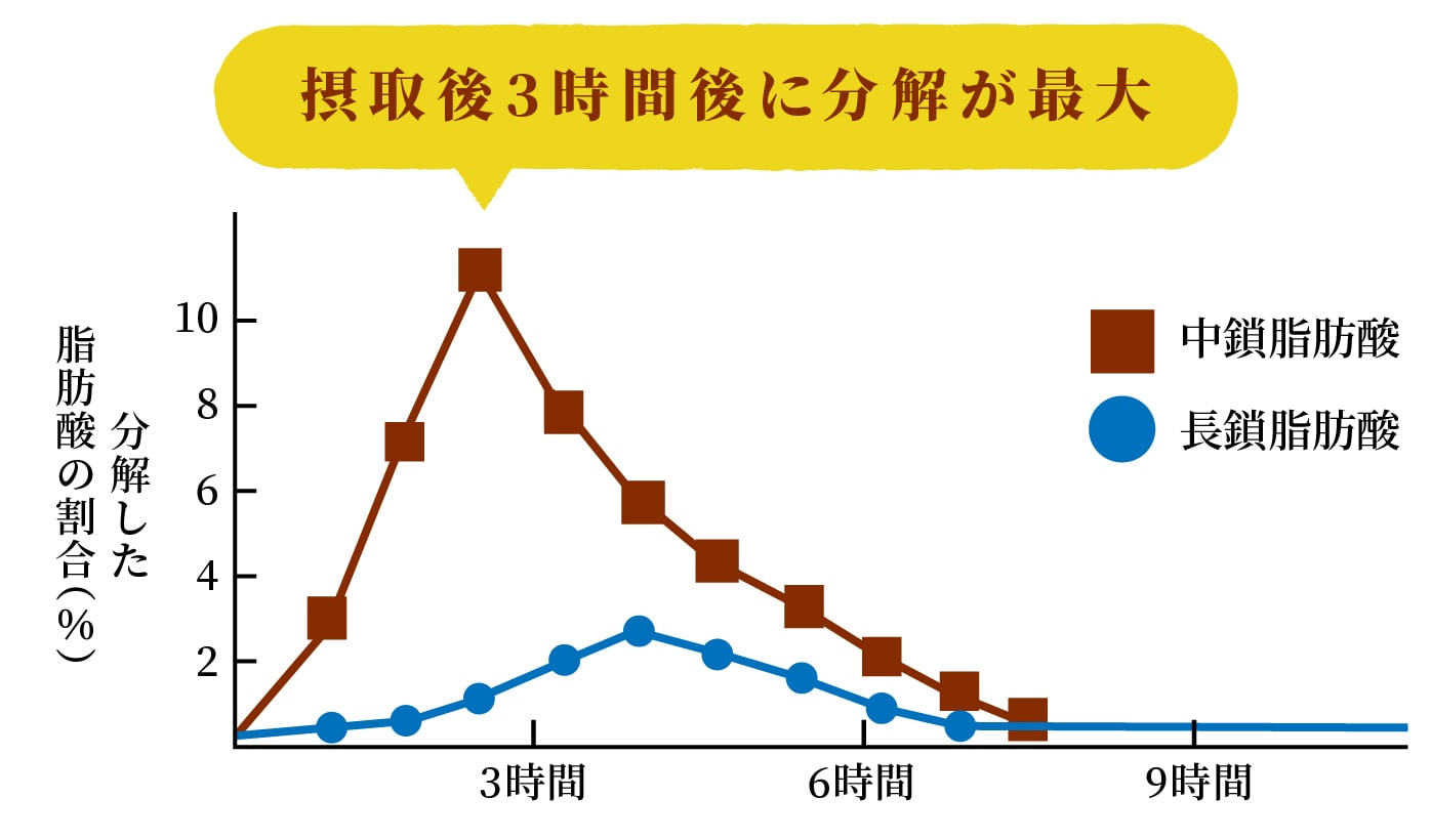 グラフ：摂取後3時間後に分解が最大