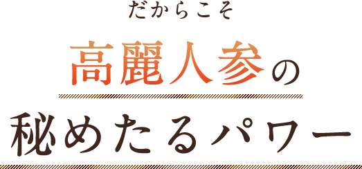 だからこそ高麗人参の秘めたパワー